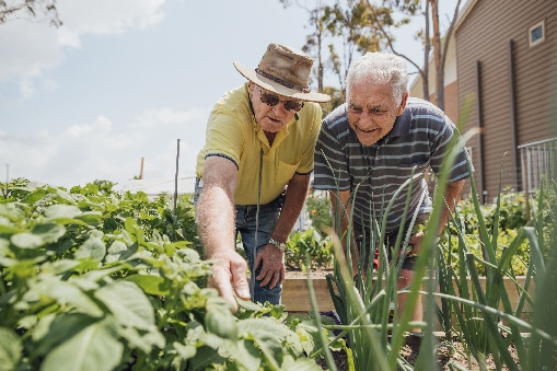 A shot of two senior friends helping each other in the allotment. United Church Foundation Grants webinars can help you plant seeds of hope!